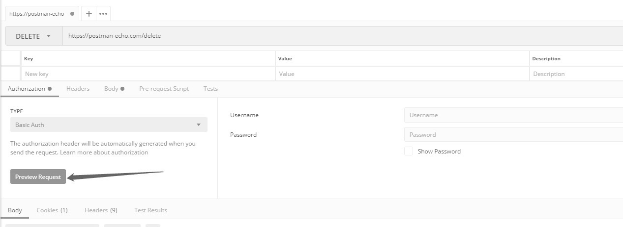 Postman Basic Auth 授权设置